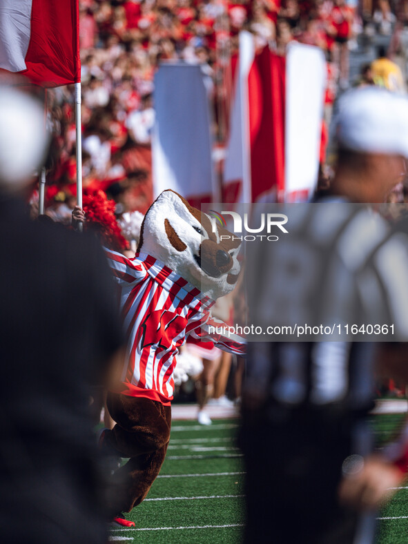 Bucky Badger leads the Wisconsin Badgers onto the field at Camp Randall Stadium against the Purdue Boilermakers in Madison, Wisconsin, on Oc...