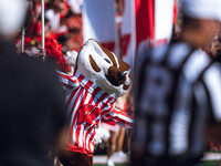 Bucky Badger leads the Wisconsin Badgers onto the field at Camp Randall Stadium against the Purdue Boilermakers in Madison, Wisconsin, on Oc...