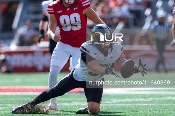 Purdue defensive back Dillon Thieneman #31 fumbles a punt against the Wisconsin Badgers at Camp Randall Stadium in Madison, Wisconsin, on Oc...