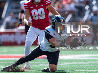 Purdue defensive back Dillon Thieneman #31 fumbles a punt against the Wisconsin Badgers at Camp Randall Stadium in Madison, Wisconsin, on Oc...