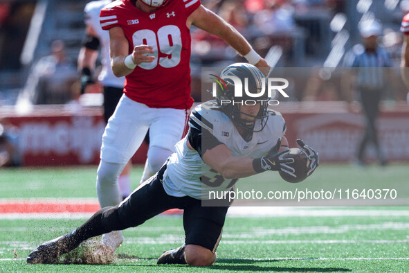 Purdue defensive back Dillon Thieneman #31 fumbles a punt against the Wisconsin Badgers at Camp Randall Stadium in Madison, Wisconsin, on Oc...