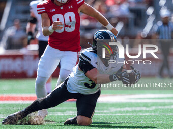 Purdue defensive back Dillon Thieneman #31 fumbles a punt against the Wisconsin Badgers at Camp Randall Stadium in Madison, Wisconsin, on Oc...