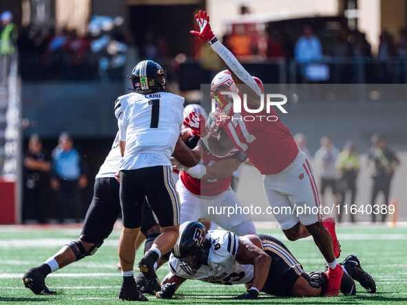 Purdue quarterback Hudson Card #1 is pressured by Wisconsin Badgers outside linebacker Darryl Peterson #17 at Camp Randall Stadium in Madiso...