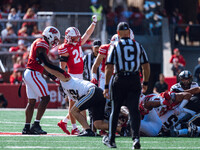 Wisconsin Badgers safety Hunter Wohler #24 celebrates a third down stop against the Purdue Boilermakers at Camp Randall Stadium in Madison,...