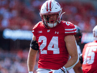 Wisconsin Badgers safety Hunter Wohler #24 celebrates a hard hit against the Purdue Boilermakers at Camp Randall Stadium in Madison, Wiscons...