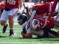 Purdue Boilermaker quarterback Hudson Card #1 is taken down by Wisconsin Badgers outside linebacker John Pius #0 at Camp Randall Stadium in...