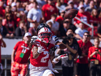 Wisconsin Badgers wide receiver Trech Kekahuna #2 catches a touchdown pass against the Purdue Boilermakers at Camp Randall Stadium in Madiso...