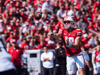 Wisconsin Badgers quarterback Braedyn Locke #18 throws a pass while on the run against the Purdue Boilermakers at Camp Randall Stadium in Ma...