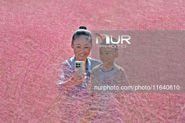 A mother and son pose in pink grass in Yantai, China, on October 5, 2024. 