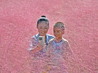 A mother and son pose in pink grass in Yantai, China, on October 5, 2024. (