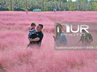 Tourists play in pink grass in Yantai, China, on October 5, 2024. (