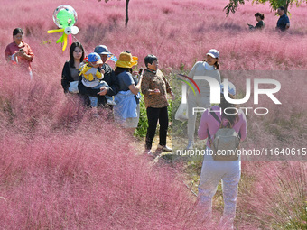 Tourists play in pink grass in Yantai, China, on October 5, 2024. (