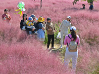 Tourists play in pink grass in Yantai, China, on October 5, 2024. (