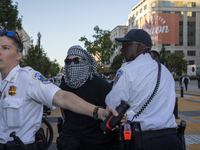 A demonstrator is arrested by police during a pro-Palestinian rally as part of an international day of action near the White House in Washin...