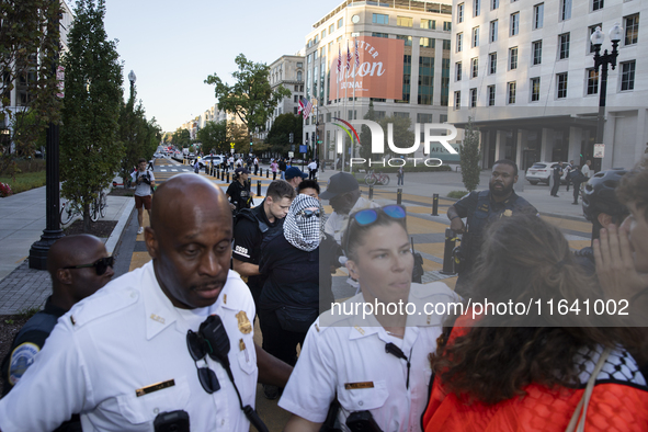 A demonstrator is arrested by police during a pro-Palestinian rally as part of an international day of action near the White House in Washin...