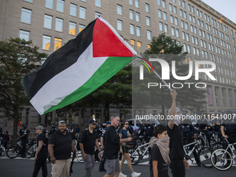 A demonstrator waves a Palestinian flag during a pro-Palestinian rally as part of an international day of action near the White House in Was...