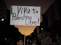 A sign with the text ''Viva Palestina Libre'' is seen during a pro-Palestinian rally as part of an international day of action near the Whit...