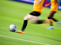 Houston Dash defender Allysha Chapman (2) kicks the ball during a match between Houston Dash and Chicago Red Stars in Houston, Texas, on Oct...