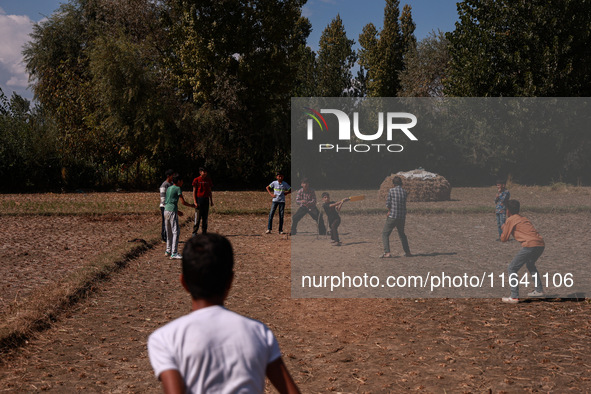 Kashmiri boys play cricket in a paddy field after the harvest on the outskirts of Sopore, Jammu and Kashmir, India, on October 6, 2024. 