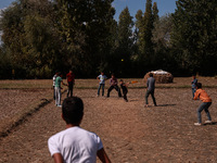 Kashmiri boys play cricket in a paddy field after the harvest on the outskirts of Sopore, Jammu and Kashmir, India, on October 6, 2024. (