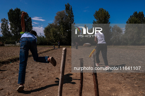 Kashmiri boys play cricket in a paddy field after the harvest on the outskirts of Sopore, Jammu and Kashmir, India, on October 6, 2024. 