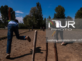 Kashmiri boys play cricket in a paddy field after the harvest on the outskirts of Sopore, Jammu and Kashmir, India, on October 6, 2024. (