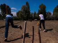 Kashmiri boys play cricket in a paddy field after the harvest on the outskirts of Sopore, Jammu and Kashmir, India, on October 6, 2024. (