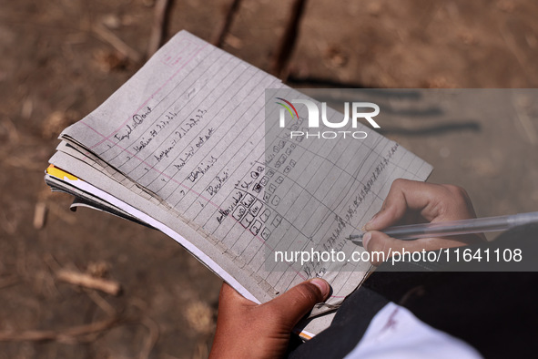 A boy maintains the score during a cricket match played in a paddy field after the harvest in Sopore, Jammu and Kashmir, India, on October 6...