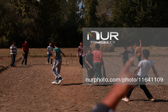 Kashmiri boys celebrate the fall of a wicket during a match in Sopore, Jammu and Kashmir, India, on October 6, 2024. 