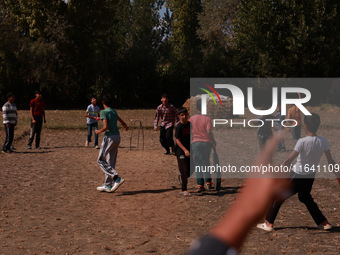 Kashmiri boys celebrate the fall of a wicket during a match in Sopore, Jammu and Kashmir, India, on October 6, 2024. (