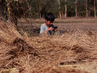 A farmer sorts the harvested rice plants as a child uses a mobile phone at a rice field in Sopore, Jammu and Kashmir, India, on October 6, 2...