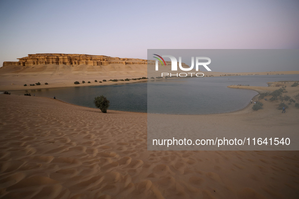 The Magic Lake is a lake located in Wadi El Hitan in Fayoum. It overlooks sand dunes and provides the opportunity to witness sunsets. The la...