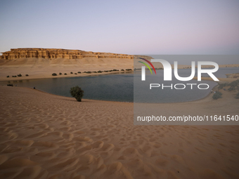 The Magic Lake is a lake located in Wadi El Hitan in Fayoum. It overlooks sand dunes and provides the opportunity to witness sunsets. The la...