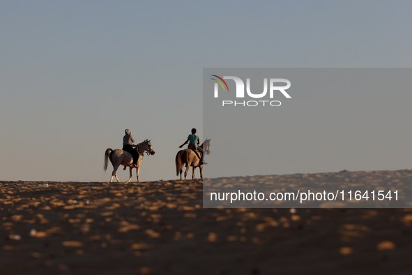 The Magic Lake is a lake located in Wadi El Hitan in Fayoum. It overlooks sand dunes and provides the opportunity to witness sunsets. The la...