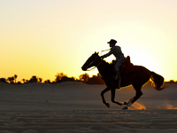 The Magic Lake is a lake located in Wadi El Hitan in Fayoum. It overlooks sand dunes and provides the opportunity to witness sunsets. The la...