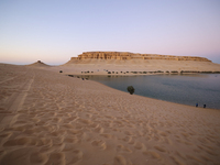 The Magic Lake is a lake located in Wadi El Hitan in Fayoum. It overlooks sand dunes and provides the opportunity to witness sunsets. The la...