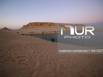 The Magic Lake is a lake located in Wadi El Hitan in Fayoum. It overlooks sand dunes and provides the opportunity to witness sunsets. The la...