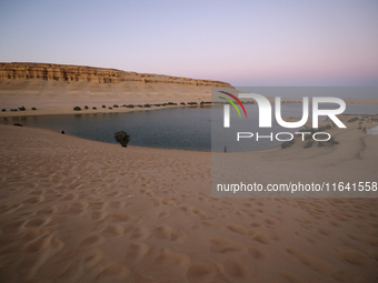 The Magic Lake is a lake located in Wadi El Hitan in Fayoum. It overlooks sand dunes and provides the opportunity to witness sunsets. The la...