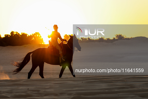 The Magic Lake is a lake located in Wadi El Hitan in Fayoum. It overlooks sand dunes and provides the opportunity to witness sunsets. The la...