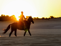 The Magic Lake is a lake located in Wadi El Hitan in Fayoum. It overlooks sand dunes and provides the opportunity to witness sunsets. The la...