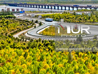 Trucks run on a highway along ecological shelterbelts along the Heihe River in Zhangye, China, on October 6, 2024. On both sides of the trai...