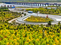 Trucks run on a highway along ecological shelterbelts along the Heihe River in Zhangye, China, on October 6, 2024. On both sides of the trai...