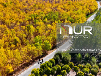 Ecological shelterbelts line the banks of the Heihe River in Zhangye, China, on October 6, 2024. (