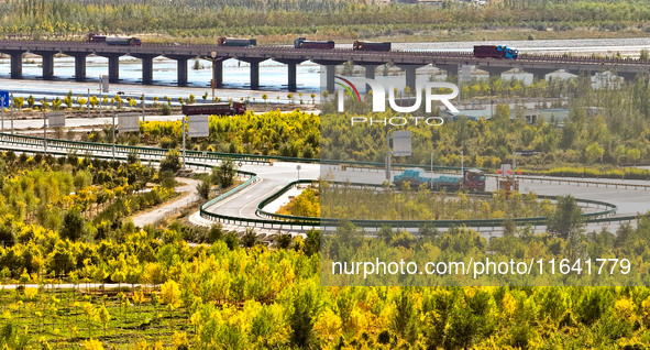 Trucks run on a highway along ecological shelterbelts along the Heihe River in Zhangye, China, on October 6, 2024. On both sides of the trai...