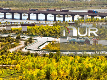 Trucks run on a highway along ecological shelterbelts along the Heihe River in Zhangye, China, on October 6, 2024. On both sides of the trai...