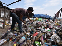 An Indian rag-picker sorts plastic bags at a landfill in the Boragoan area in Guwahati, India, on June 4, 2018. (