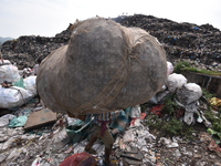 An Indian rag-picker carries a sack with recyclable materials at a landfill in the Boragoan area in Guwahati, India, on June 4, 2018. (