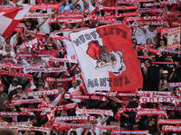 Supporters of Mantova 1911 attend the Italian Serie B soccer championship match between Mantova Calcio 1911 and Brescia Calcio FC at Danilo...