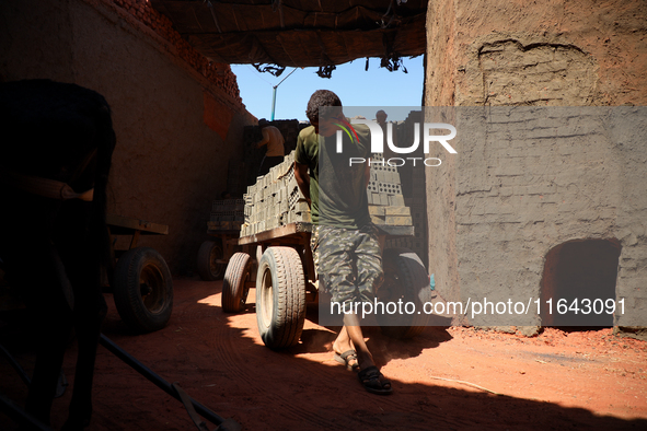 Red brick factory workers in Fayoum, Egypt, on October 5, 2024. 