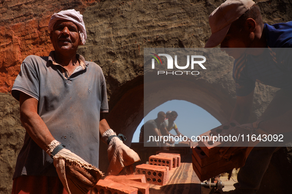 Red brick factory workers in Fayoum, Egypt, on October 5, 2024. 